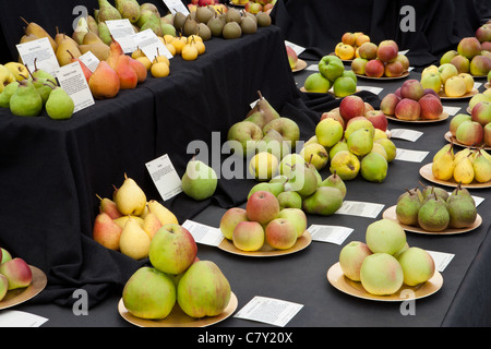 British Heritage mela e pera display a Malvern autunno show 2011 Foto Stock