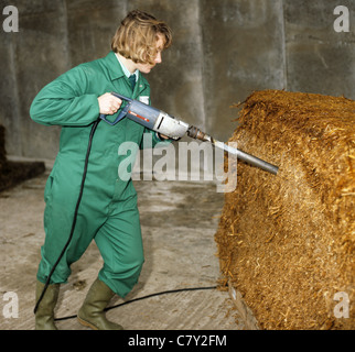 Ricercatore di donna prendendo un nucleo campione da un intero raccolto di grano di blocco di insilato per il test Foto Stock