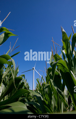 Le turbine eoliche con mais Iowa USA Foto Stock