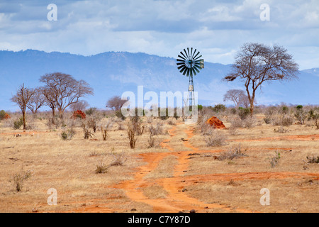 Un mulino a vento utilizzate per il pompaggio di acqua per animali, parco nazionale orientale di Tsavo, Kenya Foto Stock