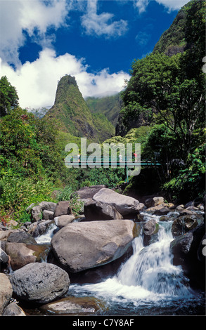 Iao ago in Iao Valley State Park, Maui, Hawaii. Foto Stock