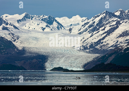 Vista in lontananza sul ghiacciaio di Yale College Fjord, Alaska Foto Stock