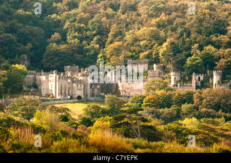 Il castello di Gwrych, vicino Abergele, Borough di Conwy, Galles del Nord, Regno Unito Foto Stock