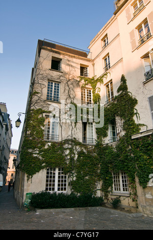 Ivy climbing sulle pareti di una vecchia casa nel quartiere di Le Marais - Parigi, Francia Foto Stock