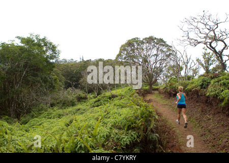 Una donna in esecuzione sul crinale Waihee Trail a Maui. Foto Stock