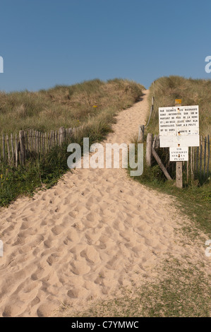 Il percorso che conduce attraverso le dune di sabbia per proteggere erosione delle dune dalla caduta del piede su erba marram Foto Stock