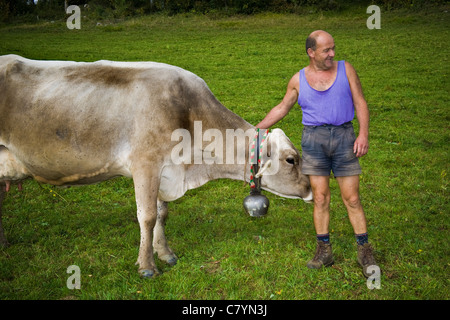 Mucca in pascolo, Val Taleggio, Lombardia, Italia Foto Stock