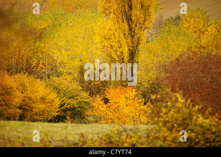 Autumn Landscape Lannepax Midi-Pyrenees France Foto Stock