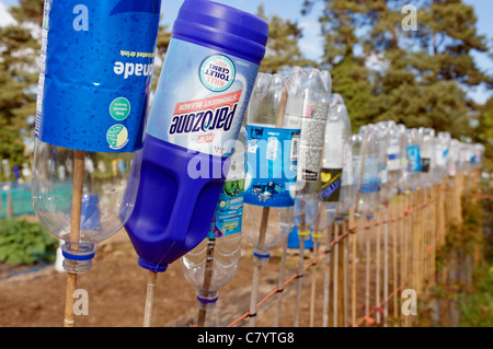 Le bottiglie di plastica su bastoni usati come bird scarers su un riparto garden Foto Stock