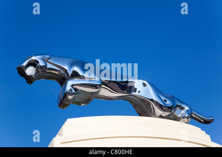 Segno, Jaguar, concessionario principale, Kent, Regno Unito Foto Stock