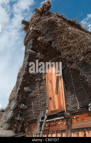 Close up di un tradizionale tetto di paglia edificio di Shirakawa go Sito Patrimonio Mondiale dell'Unesco in Giappone Foto Stock