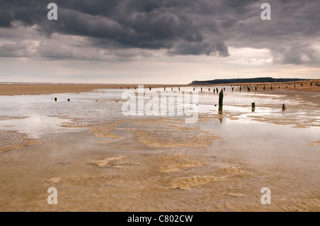 Vecchi pennelli, Winchelsea beach, East Sussex, Regno Unito Foto Stock