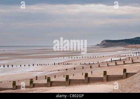 Vecchi pennelli, Winchelsea beach, East Sussex, Regno Unito Foto Stock