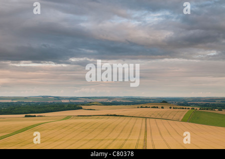 Vale of Pewsey visto dalla collina di scuotipaglia, Wiltshire, Regno Unito Foto Stock