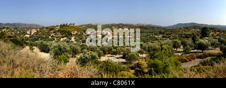 Isola di Rodi Grecia DODECANNESO Foto Stock