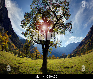 A - Tirolo: autunno a grosser ahornboden (immagine HDR) Foto Stock