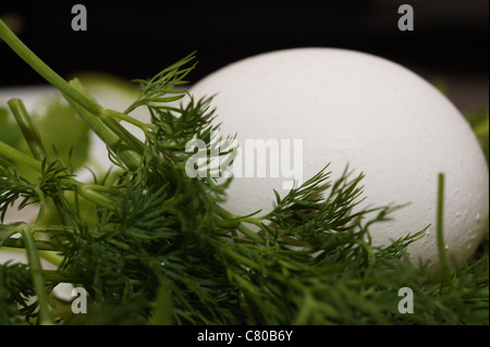 Uovo in verde Foto Stock