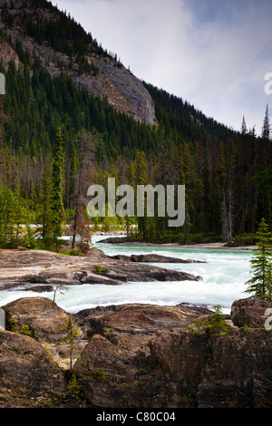 Il Fiume Kicking Horse fluente attraverso la valle in prossimità della città di Campo in British Columbia Foto Stock