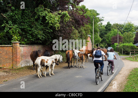 I ciclisti passando New Forest pony bloccando la strada nel villaggio di Burley, New Forest, Hampshire, Inghilterra, Regno Unito Foto Stock