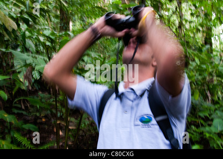 Osservazione di animali selvatici in una foresta di pioggia area protetta,vicino a Arenal Volcano National Park . Costa Rica. America centrale. Foto Stock