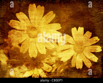 Giallo daisy, astratto grunge floral background con vecchio dirty texture Foto Stock