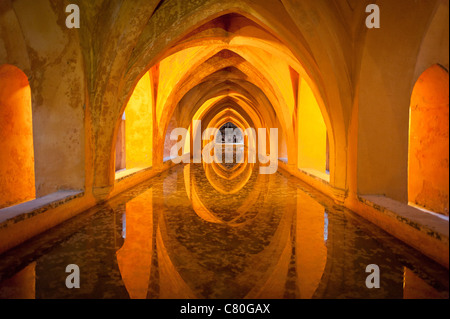 Il Royal Terme nel Real castello Alcazar di Siviglia, Spagna. Foto Stock