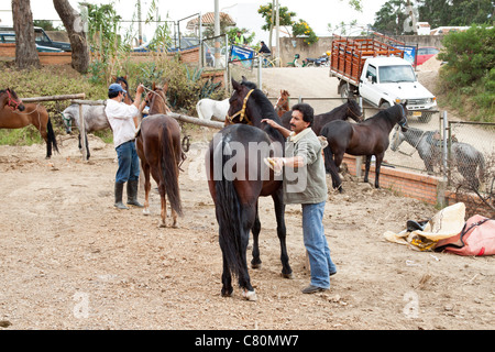 Gli uomini di prendersi cura di loro cavalli al fine di mostrare loro presso la fiera cavalli. Villa de Leyva, Boyacá, Colombia, Sud America Foto Stock