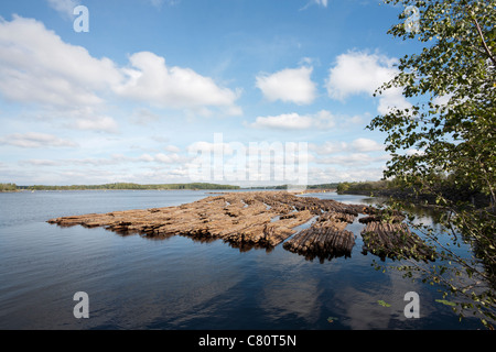 Una zattera di log in Lappeenranta FINLANDIA Foto Stock