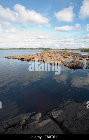 Una zattera di log in Lappeenranta FINLANDIA Foto Stock