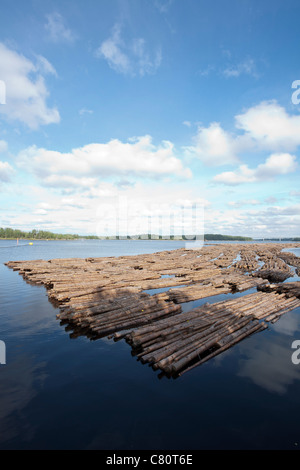 Una zattera di log in Lappeenranta FINLANDIA Foto Stock