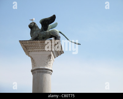 Colonna di pietra lion statua al piccione seduti sulla testa a Venezia Foto Stock