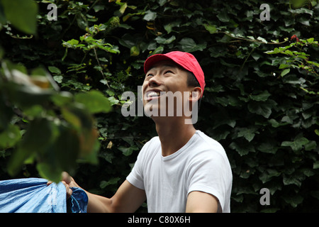 Giovane uomo asiatico telone tenuta in un giardino, la raccolta di frutta Foto Stock