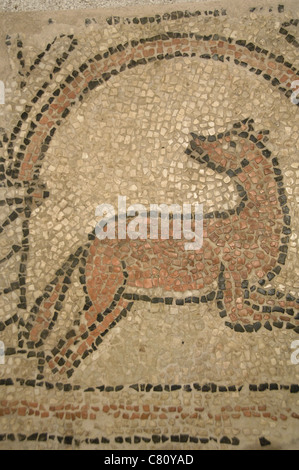 Inizio arte cristiana. Mosaico raffigurante un cane. Databili tra il v e il VI secolo. Corfù. La Grecia. Foto Stock