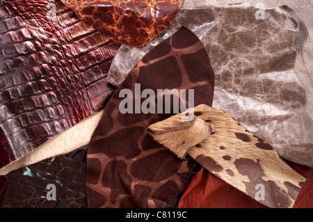 I campioni di pelle con diversi colori e stampe Foto Stock