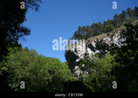 Un gruppo di pini sul bordo di un precipizio, le Moulin de la Pipe, Drome Valley, Francia sud-orientale Foto Stock