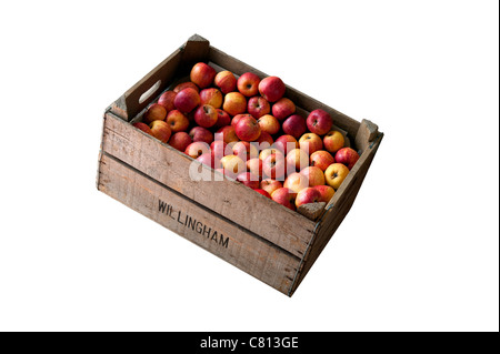 Bushel scatola con le mele rosse a. Frutto tradizionale metodo di conservazione. Foto Stock