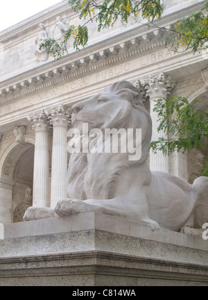 Biblioteca Pubblica di New York Lions Foto Stock