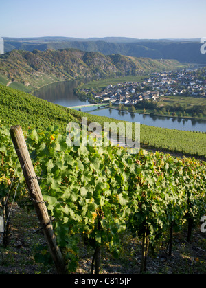 Vista del villaggio di Piesport da vigneti nella valle di Mosel in Germania Foto Stock