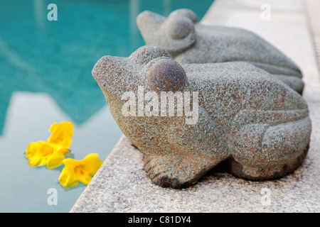 Paesaggio di pietra scolpita rane ornamentali rivolta ad ovest a bordo piscina piscina con acqua blu spazio raccolto spazio copia petali orizzontale Foto Stock