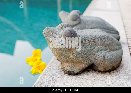 Paesaggio di pietra scolpita rane ornamentali che si affaccia a ovest sul bordo di una piscina di acqua blu Calibrachoa raccolto spazio di copia Foto Stock