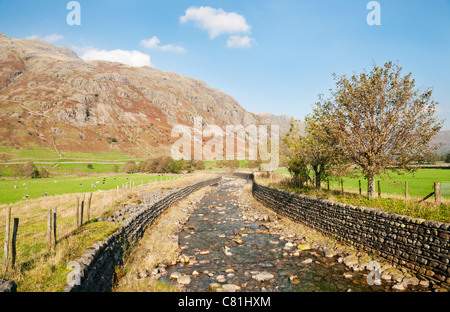 Grande Langdale Beck, il fiume che attraversa la valle Langdale nel distretto del lago, Cumbria Regno Unito Foto Stock