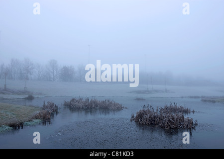 Inverno mattina in Danimarca Foto Stock