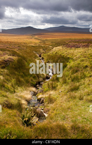 Irlanda, Co Wicklow, Sally Gap mountain pass Foto Stock