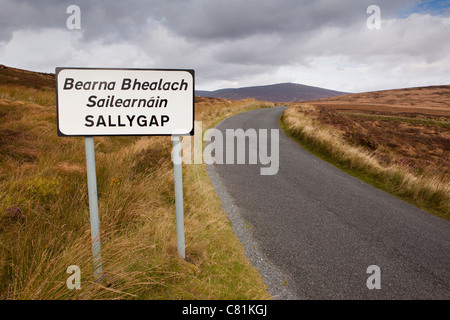 Irlanda, Co Wicklow, strada militare passando Sally Gap segno su mountain pass Foto Stock