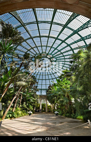 Vista interna del 'Jardin d'hiver', Serre Reali di Laeken, il Castello Reale di Laeken, Bruxelles, Belgio, Europa Foto Stock