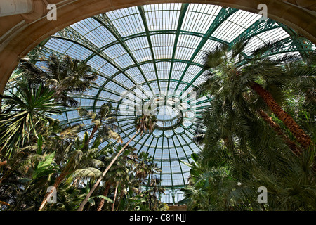 Vista interna del 'Jardin d'hiver', Serre Reali di Laeken, il Castello Reale di Laeken, Bruxelles, Belgio, Europa Foto Stock