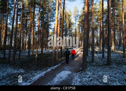 Coppie anziane escursioni nella foresta di pini taiga , Finlandia Foto Stock