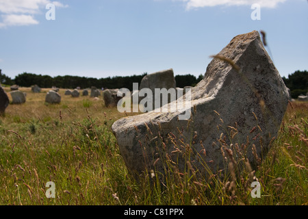 Le pietre di Carnac, un sito megalitico in Bretagna, Francia Foto Stock