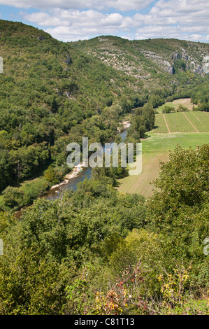 Gorges de l'Aveyron, vicino St-Antonin-Noble-Val, Tarn-et-Garonne, Midi-Pirenei, Francia Foto Stock