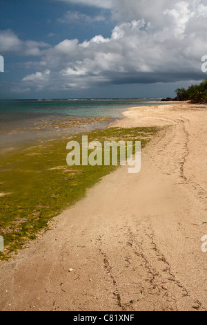 Spiaggia di Las Cabezas de San Juan vicino a Fajardo in Puerto Rico. Foto Stock